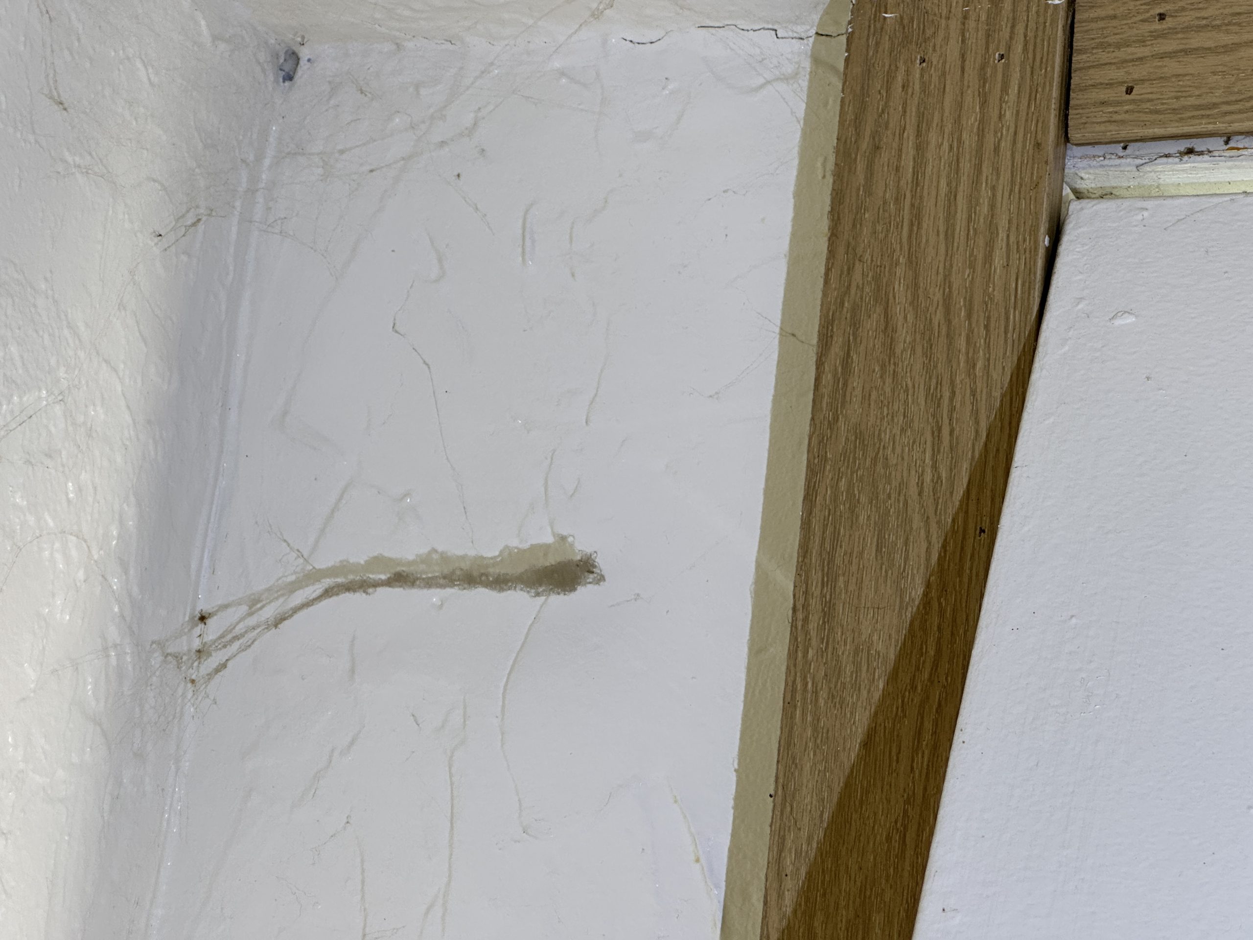 Before – House Flip Renovation in Portland OR – House-Flip Portland OR