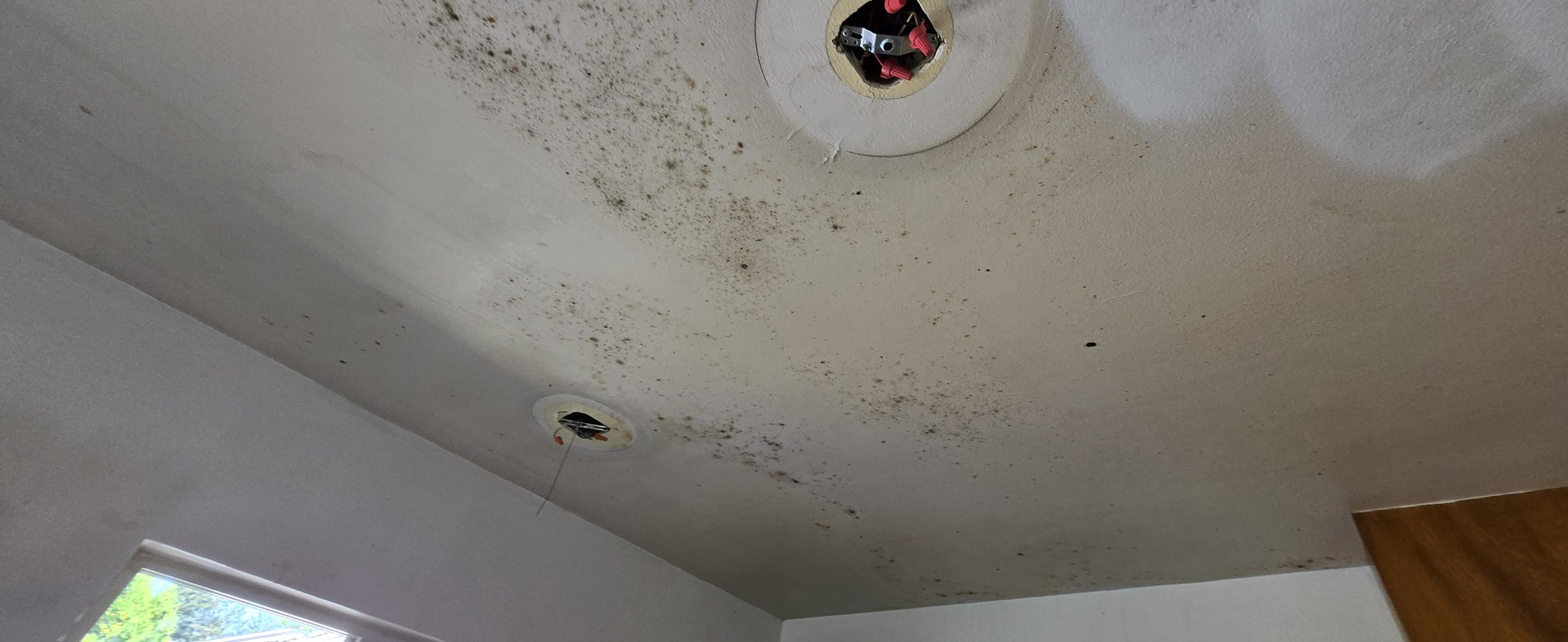 Before – Transforming Damaged Walls: Expert House Painting in Portland OR – Painting Portland OR