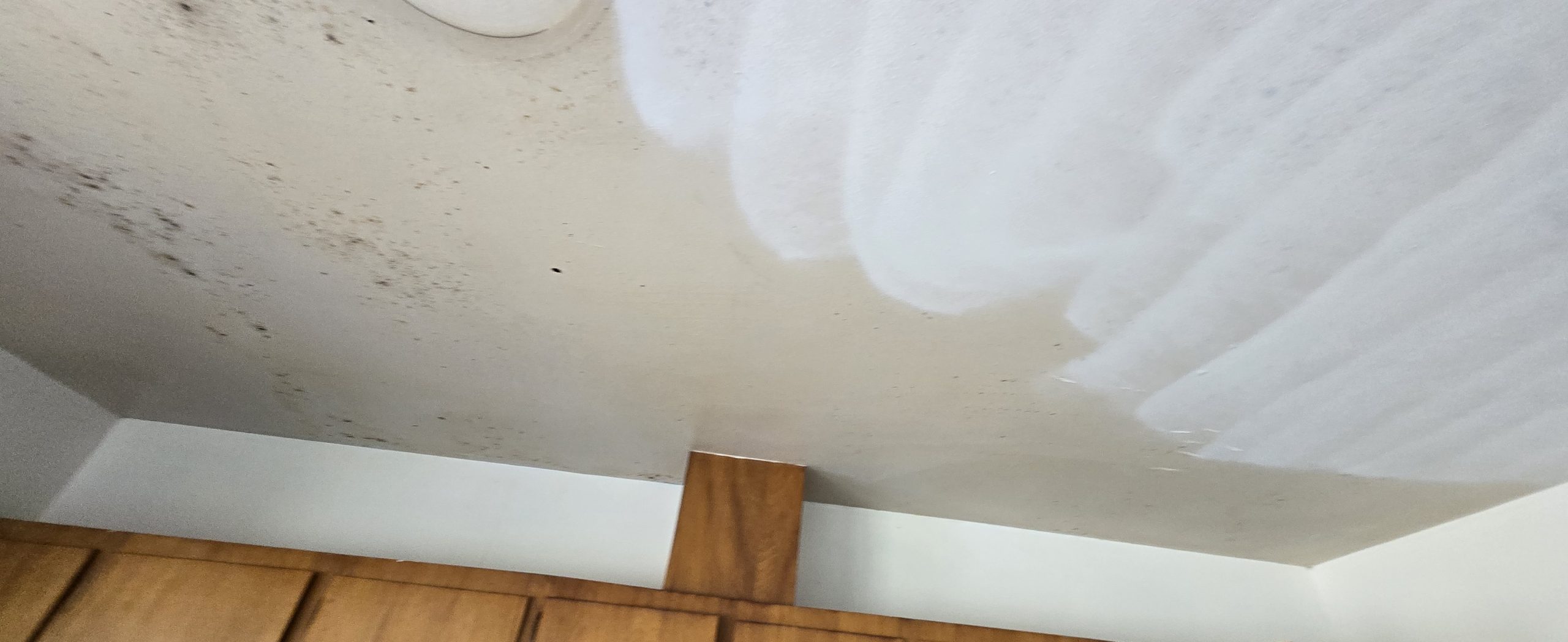 Before – Transforming Damaged Walls: Expert House Painting in Portland OR – Painting Portland OR