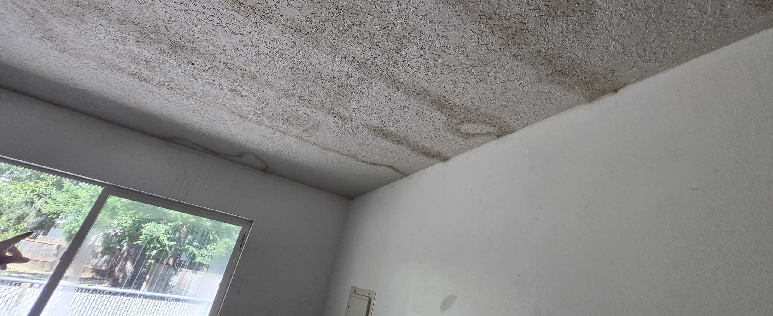 Before – Transforming Damaged Walls: Expert House Painting in Portland OR – Painting Portland OR