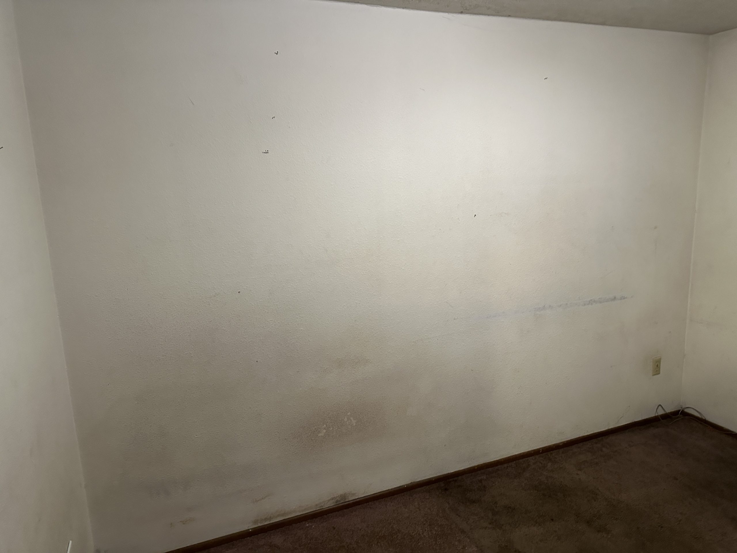 Before – House Painting in Portland OR: Removing Fire-Burn Marks – Painting Portland OR