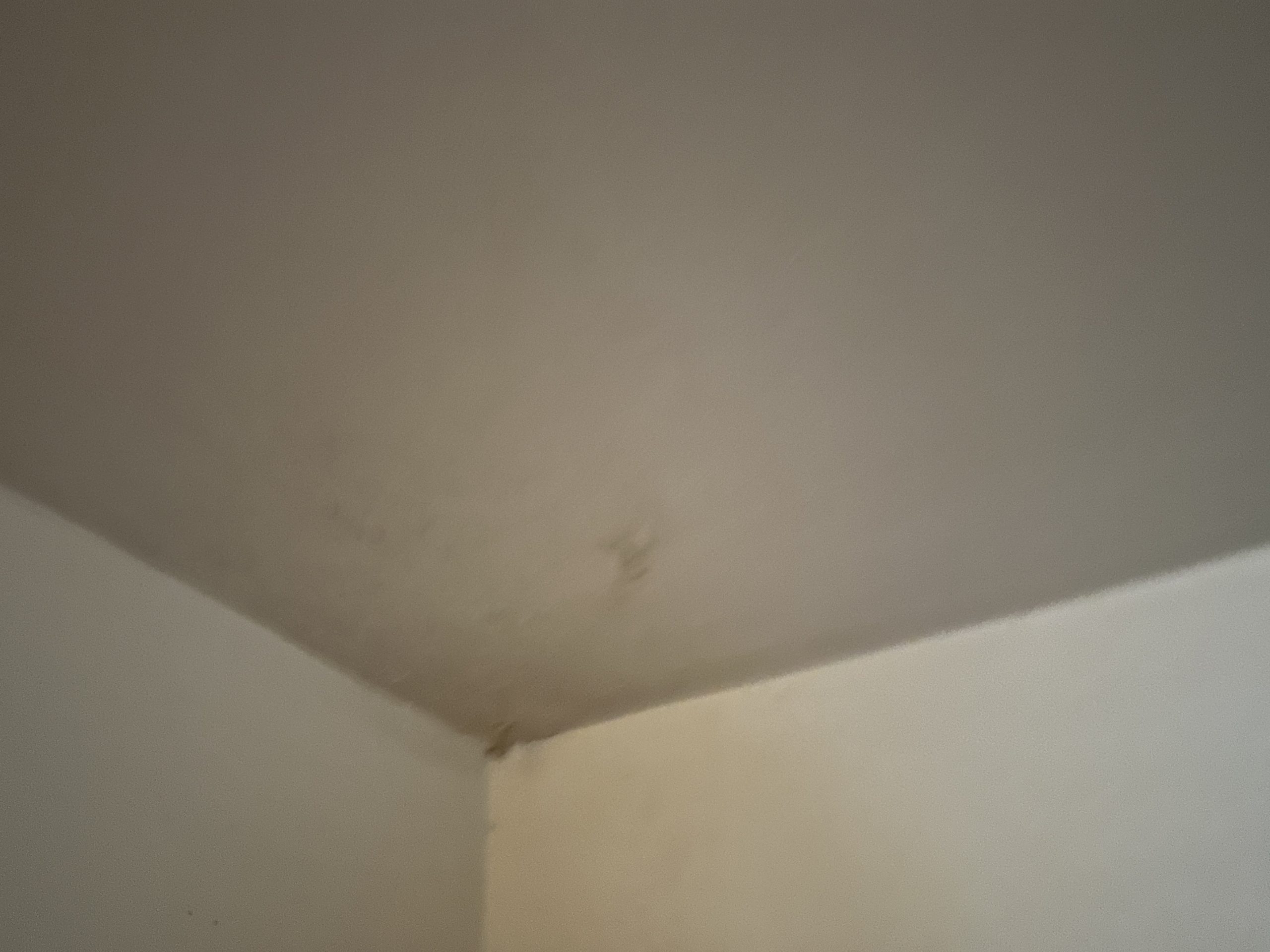 Before – House Painting in Portland OR: Removing Fire-Burn Marks – Painting Portland OR