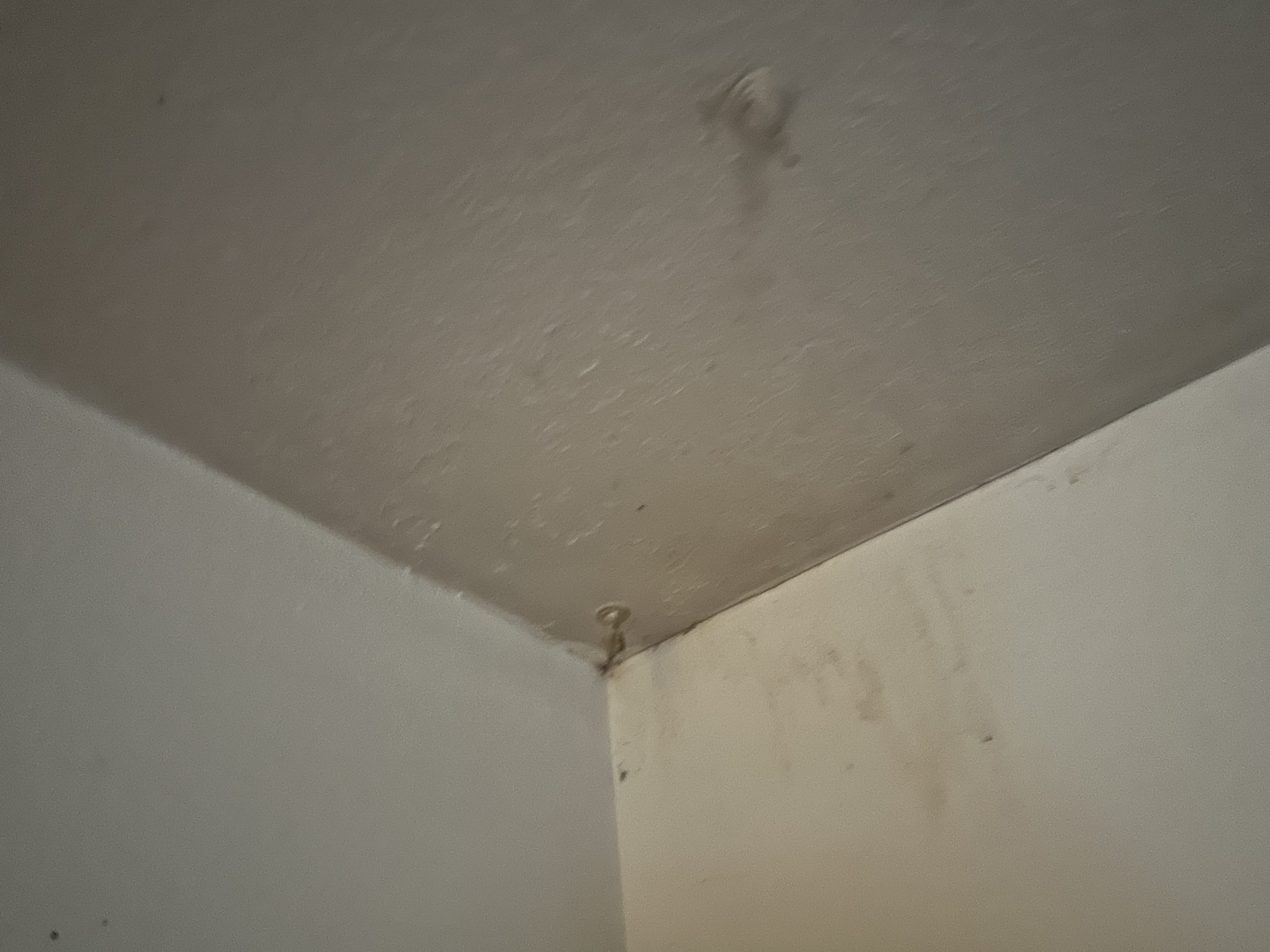 Before – Transforming Aged Homes: House Flip Renovation in Portland OR – House-Flip Portland OR