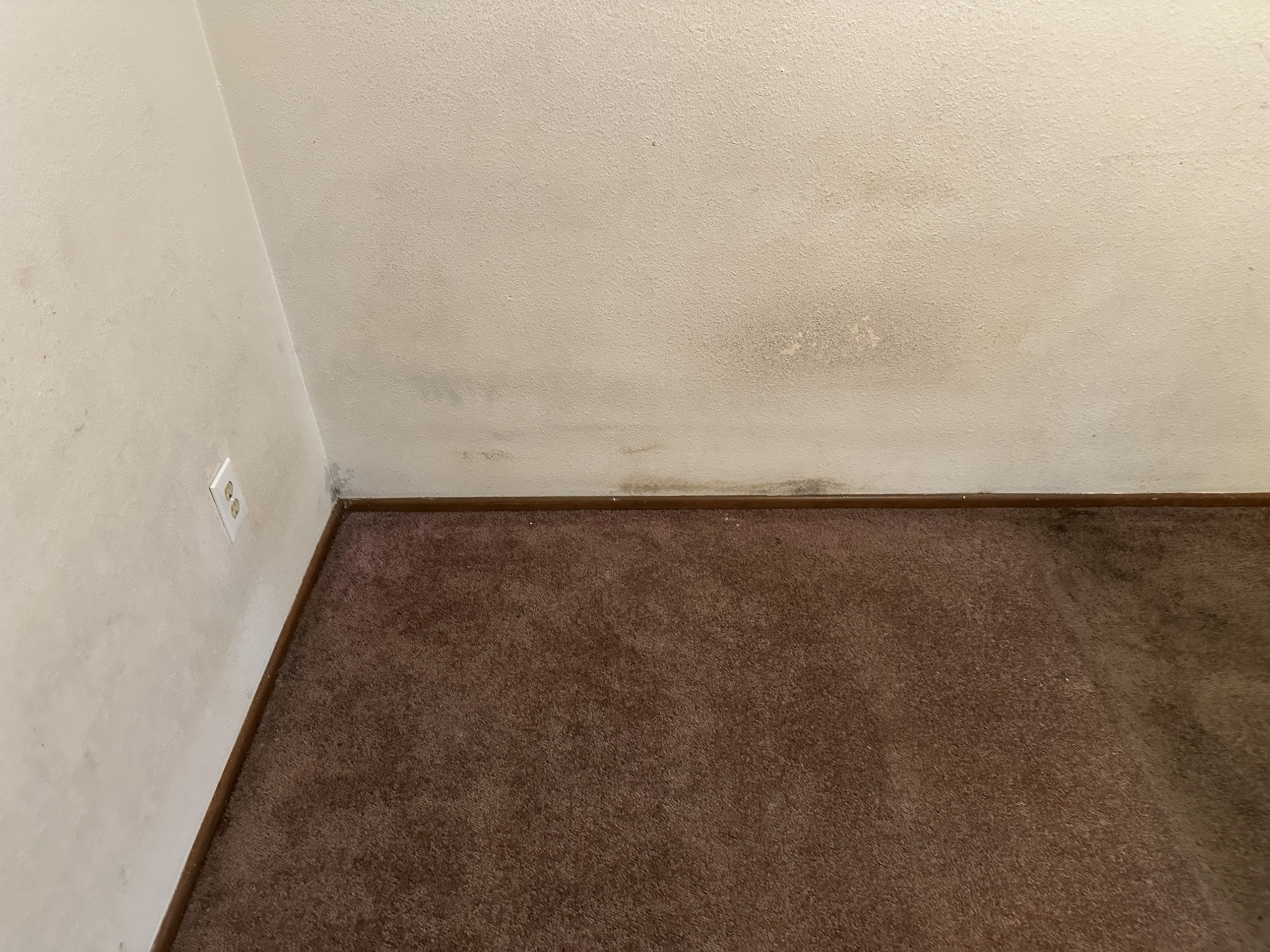 Before – House Painting in Portland OR: Removing Fire-Burn Marks – Painting Portland OR