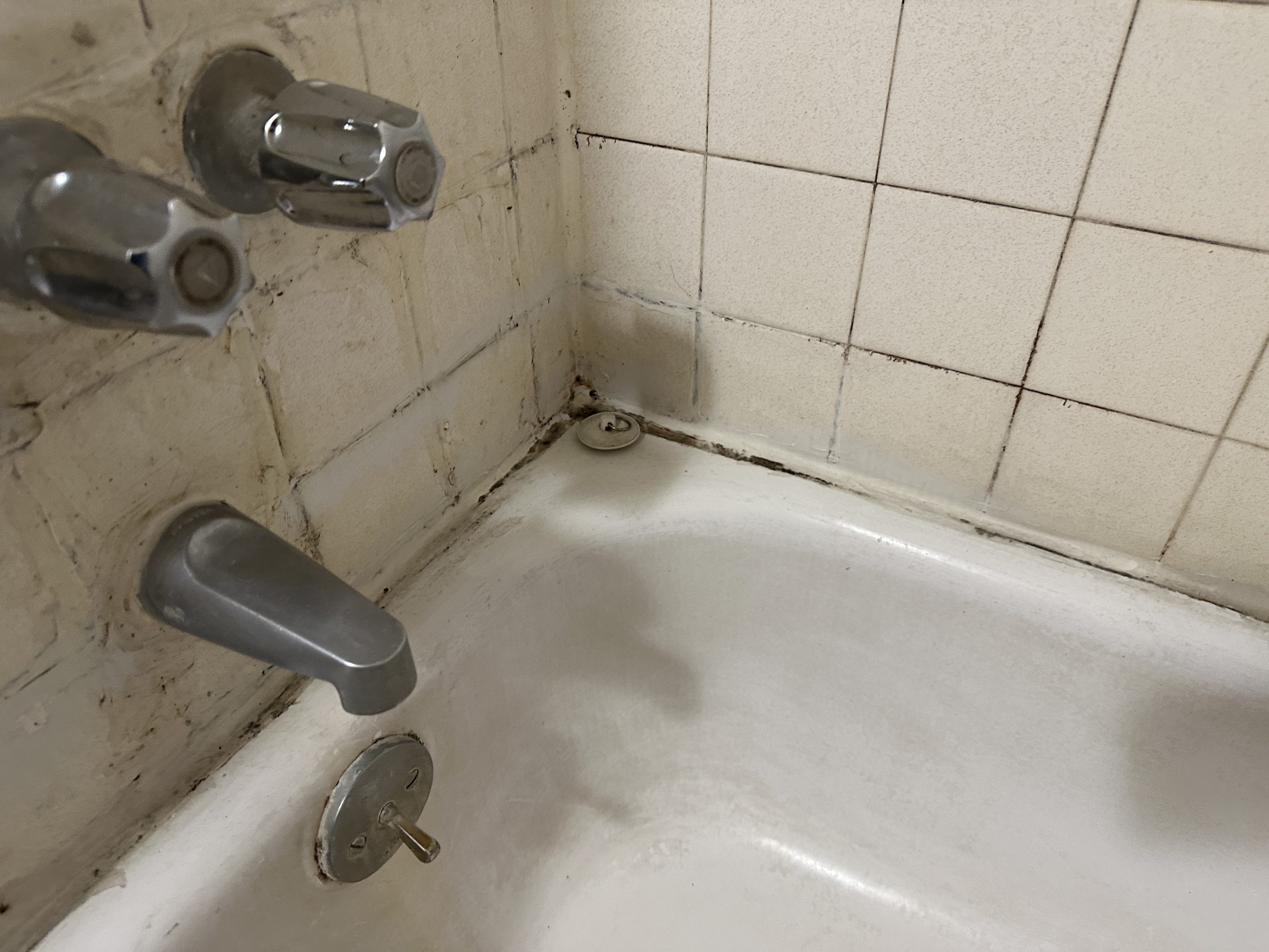 Before – Bathtub Reglazing Portland OR: The Budget-Friendly Fix – Bathroom-Reglazing Portland OR