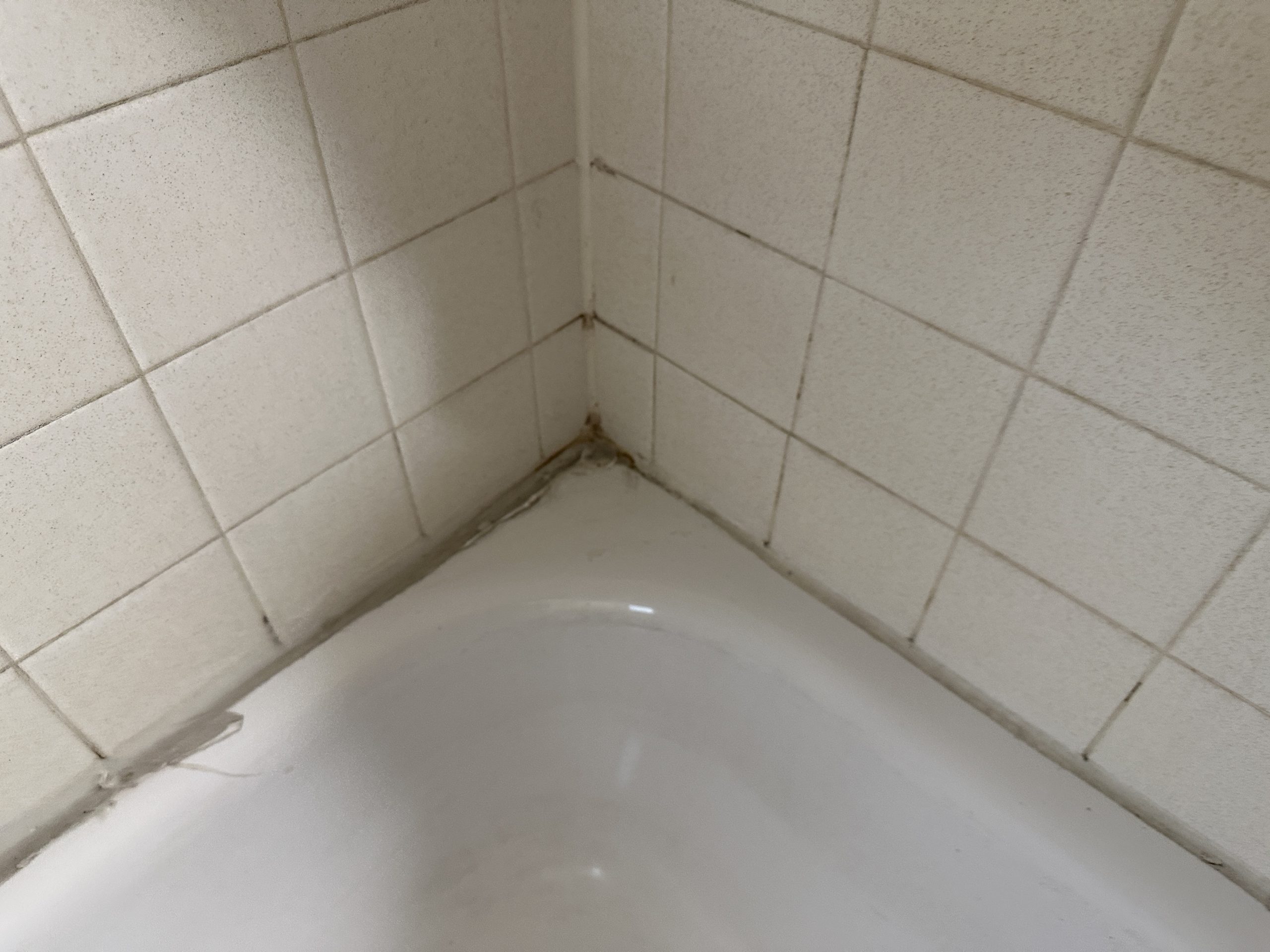 Before – Bathtub Reglazing Portland OR: The Budget-Friendly Fix – Bathroom-Reglazing Portland OR