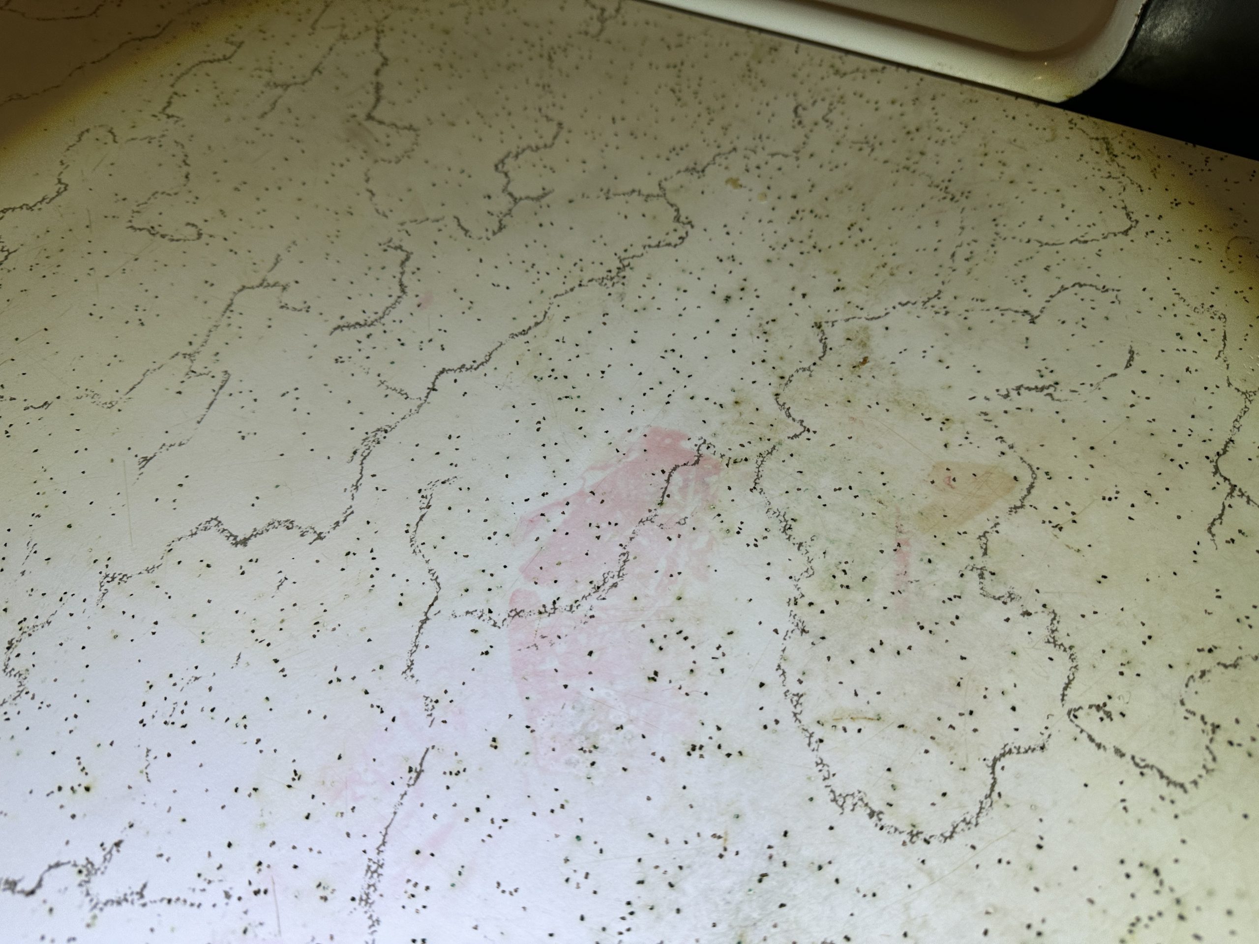 Before – Flip to Fab: House Flip Renovation in Portland OR – House-Flip Portland OR