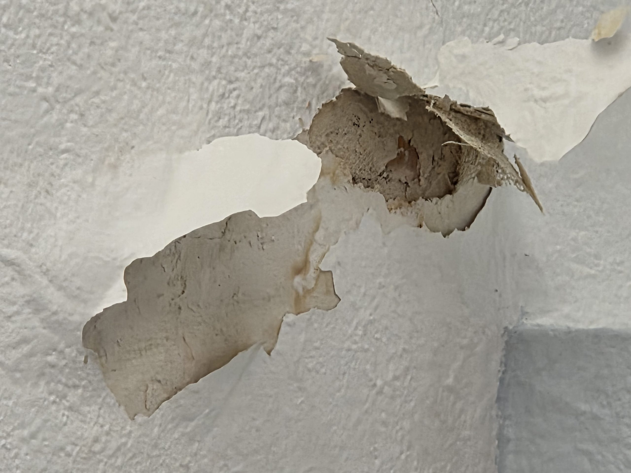 Before – Roof Replacement Portland OR: Fixing Leaks – Roof Portland OR