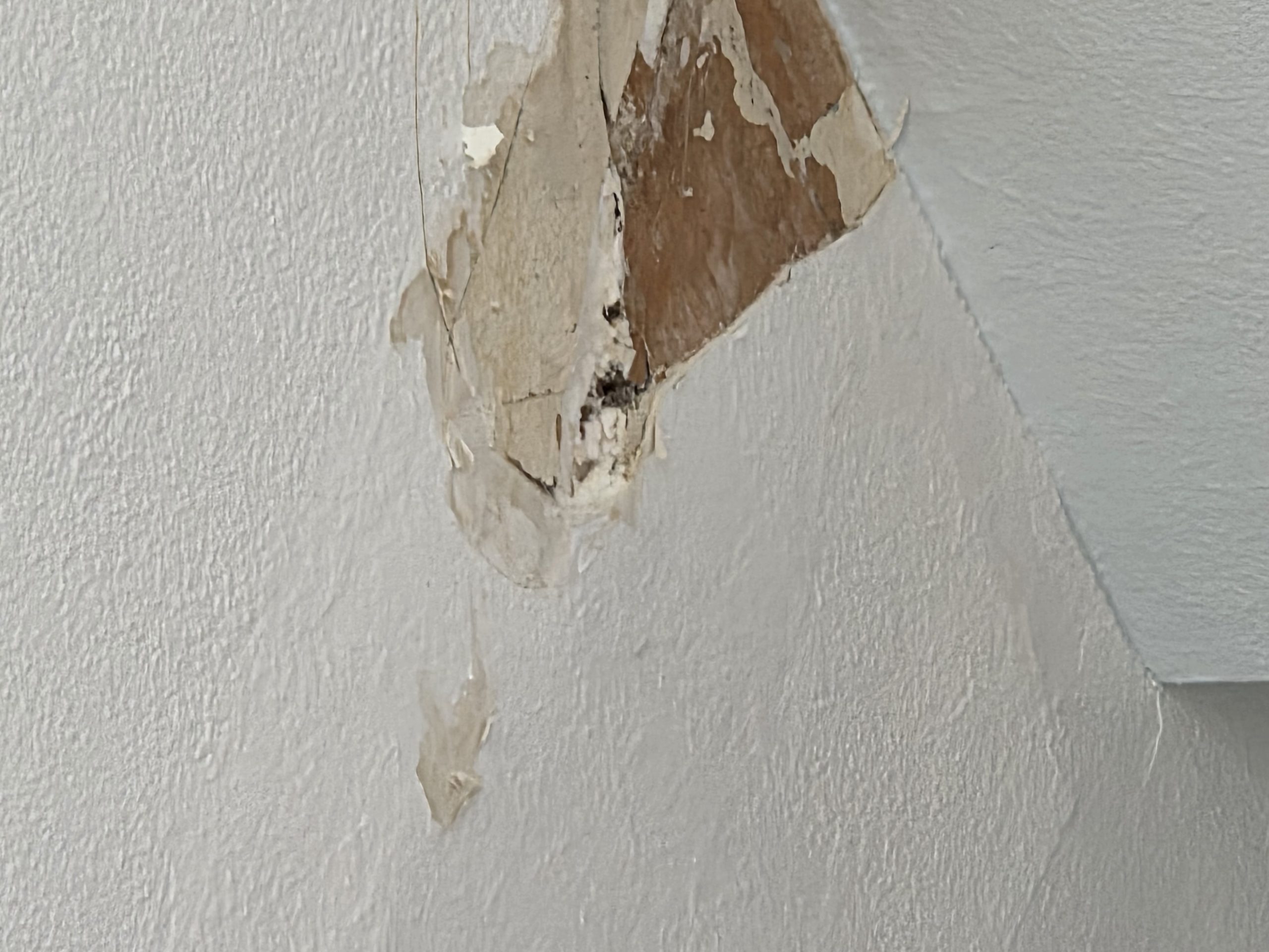 Before – Roof Replacement Portland OR: Fixing Leaks – Roof Portland OR